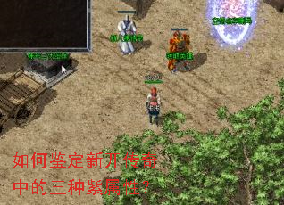 如何鉴定新开传奇中的三种紫属性? 如何鉴定新开传奇中的三种紫属性?