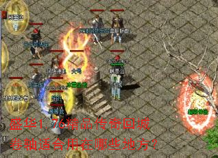 盛华1.76精品传奇回城卷轴适合用在哪些地方? 盛华1.76精品传奇回城卷轴适合用在哪些地方?
