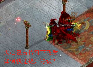 天心复古传奇下载后如何快速提升等级? 天心复古传奇下载后如何快速提升等级?