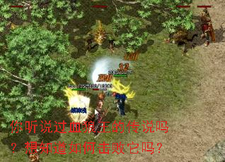 你听说过血狼王的传说吗?想知道如何击败它吗? 你听说过血狼王的传说吗?想知道如何击败它吗?