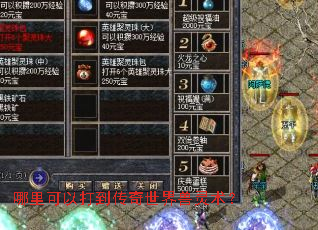 哪里可以打到传奇世界兽灵术? 哪里可以打到传奇世界兽灵术?