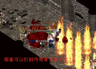 哪里可以打到传奇世界兽灵术? 哪里可以打到传奇世界兽灵术?
