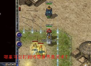 哪里可以打到传奇世界兽灵术? 哪里可以打到传奇世界兽灵术?