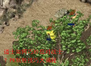 道士如何巧妙应对战士?PK制胜技巧大揭秘 道士如何巧妙应对战士?PK制胜技巧大揭秘