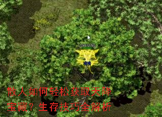 散人如何轻松获取天降宝藏?生存技巧全解析 散人如何轻松获取天降宝藏?生存技巧全解析