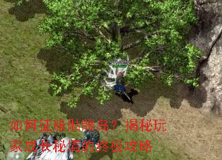 如何征服骷髅岛?揭秘玩家成长秘境的终极攻略 如何征服骷髅岛?揭秘玩家成长秘境的终极攻略