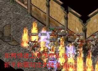 如何快速上手传奇私服3?新手称霸玛法大陆全指南 如何快速上手传奇私服3?新手称霸玛法大陆全指南