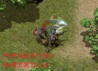 传奇私服支付接口申请失败怎么办? 传奇私服支付接口申请失败怎么办?