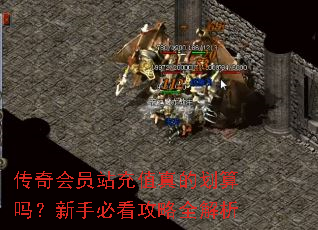 传奇会员站充值真的划算吗?新手必看攻略全解析 传奇会员站充值真的划算吗?新手必看攻略全解析