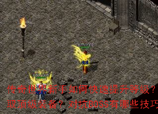 传奇世界新手如何快速提升等级?怎样获取顶级装备?对抗BOSS有哪些技巧? 传奇世界新手如何快速提升等级?怎样获取顶级装备?对抗BOSS有哪些技巧?