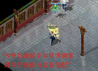 传奇私服新手如何快速掌握高阶技能与装备搭配? 传奇私服新手如何快速掌握高阶技能与装备搭配?