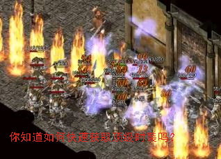 你知道如何快速获取顶级时装吗? 你知道如何快速获取顶级时装吗?