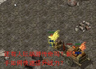 还有人玩端游传奇吗?新手如何快速提升战力? 还有人玩端游传奇吗?新手如何快速提升战力?