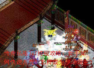 传奇私服3sf终极攻略:新手如何快速开荒?怎样成为沙场霸主? 传奇私服3sf终极攻略:新手如何快速开荒?怎样成为沙场霸主?