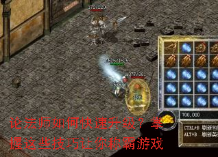 论法师如何快速升级?掌握这些技巧让你称霸游戏 论法师如何快速升级?掌握这些技巧让你称霸游戏