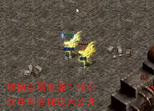 �������ʤǿ�����ս����ʤ�ؾ��󹫿�