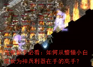 传奇新手必看:如何从懵懂小白成长为神兵利器在手的高手? 传奇新手必看:如何从懵懂小白成长为神兵利器在手的高手?
