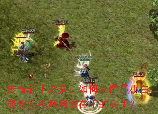 传奇新手必看:如何从懵懂小白成长为神兵利器在手的高手? 传奇新手必看:如何从懵懂小白成长为神兵利器在手的高手?
