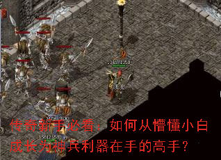 传奇新手必看:如何从懵懂小白成长为神兵利器在手的高手? 传奇新手必看:如何从懵懂小白成长为神兵利器在手的高手?
