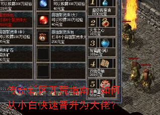 传奇新区开荒指南:如何从小白快速晋升为大佬? 传奇新区开荒指南:如何从小白快速晋升为大佬?