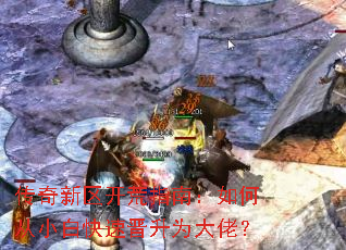 传奇新区开荒指南:如何从小白快速晋升为大佬? 传奇新区开荒指南:如何从小白快速晋升为大佬?
