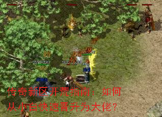 传奇新区开荒指南:如何从小白快速晋升为大佬? 传奇新区开荒指南:如何从小白快速晋升为大佬?