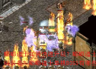嘟嘟道士如何快速升级?嘟嘟道士怎样获取顶级装备?嘟嘟道士单挑BOSS有哪些技巧? 嘟嘟道士如何快速升级?嘟嘟道士怎样获取顶级装备?嘟嘟道士单挑BOSS有哪些技巧?