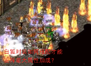 白狐时装如何搭配才能发挥最大属性加成? 白狐时装如何搭配才能发挥最大属性加成?