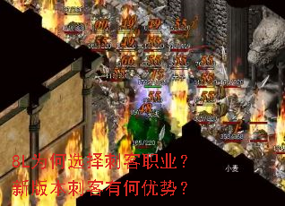 8L为何选择刺客职业?新版本刺客有何优势? 8L为何选择刺客职业?新版本刺客有何优势?