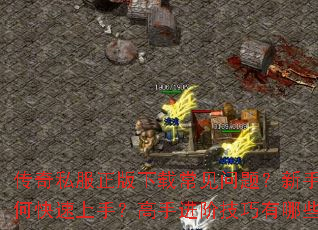 传奇私服正版下载常见问题?新手如何快速上手?高手进阶技巧有哪些? 传奇私服正版下载常见问题?新手如何快速上手?高手进阶技巧有哪些?