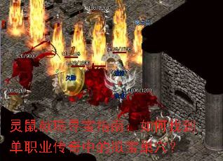 灵鼠献瑞寻宝指南:如何找到单职业传奇中的拟宝巢穴? 灵鼠献瑞寻宝指南:如何找到单职业传奇中的拟宝巢穴?