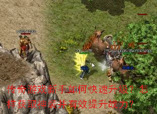 传奇游戏新手如何快速升级?怎样获取神装并有效提升战力? 传奇游戏新手如何快速升级?怎样获取神装并有效提升战力?