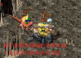 新手如何选择福利传奇私服?这份排行榜告诉你答案 新手如何选择福利传奇私服?这份排行榜告诉你答案