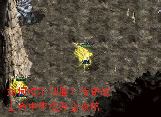 如何精准制胜?传奇战士命中率提升全攻略 如何精准制胜?传奇战士命中率提升全攻略