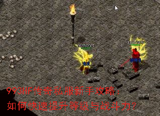 993HF传奇私服新手攻略:如何快速提升等级与战斗力? 993HF传奇私服新手攻略:如何快速提升等级与战斗力?