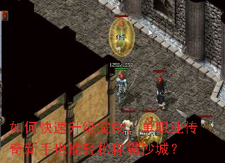 如何快速升级宠物,单职业传奇新手也能轻松称霸沙城? 如何快速升级宠物,单职业传奇新手也能轻松称霸沙城?