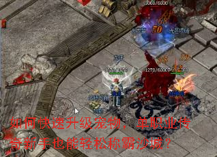 如何快速升级宠物,单职业传奇新手也能轻松称霸沙城? 如何快速升级宠物,单职业传奇新手也能轻松称霸沙城?