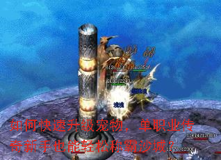 如何快速升级宠物,单职业传奇新手也能轻松称霸沙城? 如何快速升级宠物,单职业传奇新手也能轻松称霸沙城?