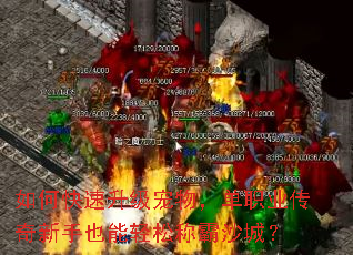 如何快速升级宠物,单职业传奇新手也能轻松称霸沙城? 如何快速升级宠物,单职业传奇新手也能轻松称霸沙城?