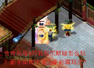 传奇私服800礼包沉默版怎么玩?新手如何快速上手称霸玛法? 传奇私服800礼包沉默版怎么玩?新手如何快速上手称霸玛法?