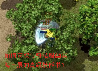 如何获取传奇私服幽冥海三层的高级技能书? 如何获取传奇私服幽冥海三层的高级技能书?