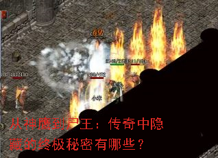 ����ӥ��ʬ�������������ص��ռ���������Щ��