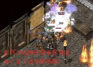 新区冲级快还是老区资源多?新手该如何选择? 新区冲级快还是老区资源多?新手该如何选择?