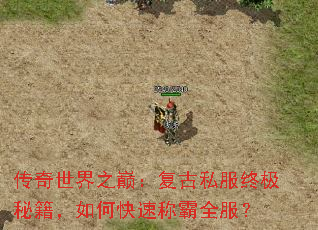 传奇世界之巅:复古私服终极秘籍,如何快速称霸全服? 传奇世界之巅:复古私服终极秘籍,如何快速称霸全服?