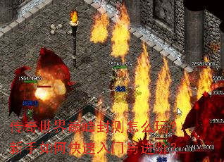 ���������۷�����ô�棿������ο�����������ף�