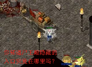 ��֪��ʬ�������ص���ھ�����������