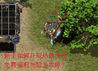 ������λ�ȡ��Ѫ������Ѹ������𲽹��ԣ�