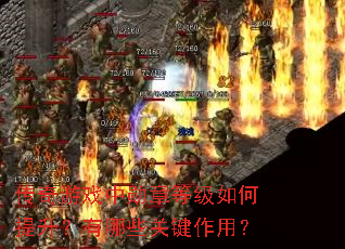 传奇游戏中勋章等级如何提升?有哪些关键作用? 传奇游戏中勋章等级如何提升?有哪些关键作用?
