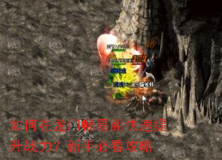 ��������ų��׸��������ս�������ֱؿ�����