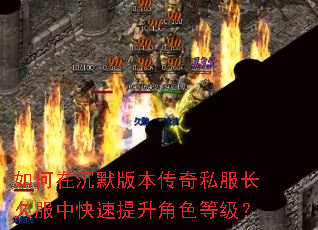 ����ڳ�Ĭ�汾����˽�����÷��п���������ɫ�ȼ���